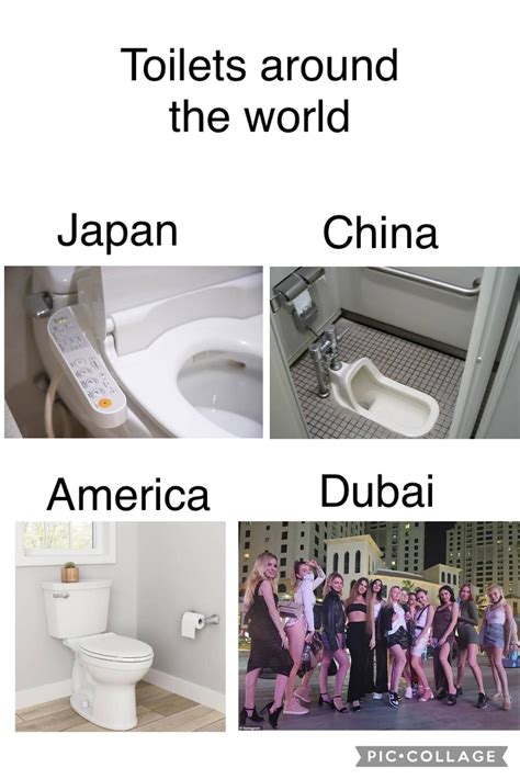 dubai dior bag porta potty|Dubai porta potty memes.